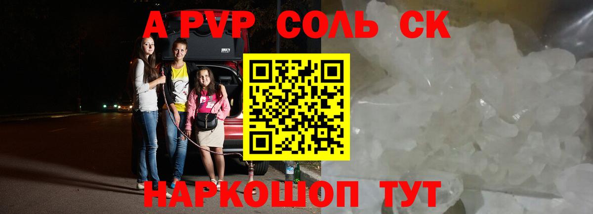 Альфа ПВП СК КРИС Тула