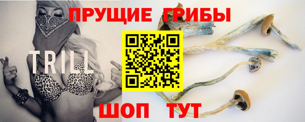 Псилоцибиновые грибы ЛСД  Вход с VPN  Тула 